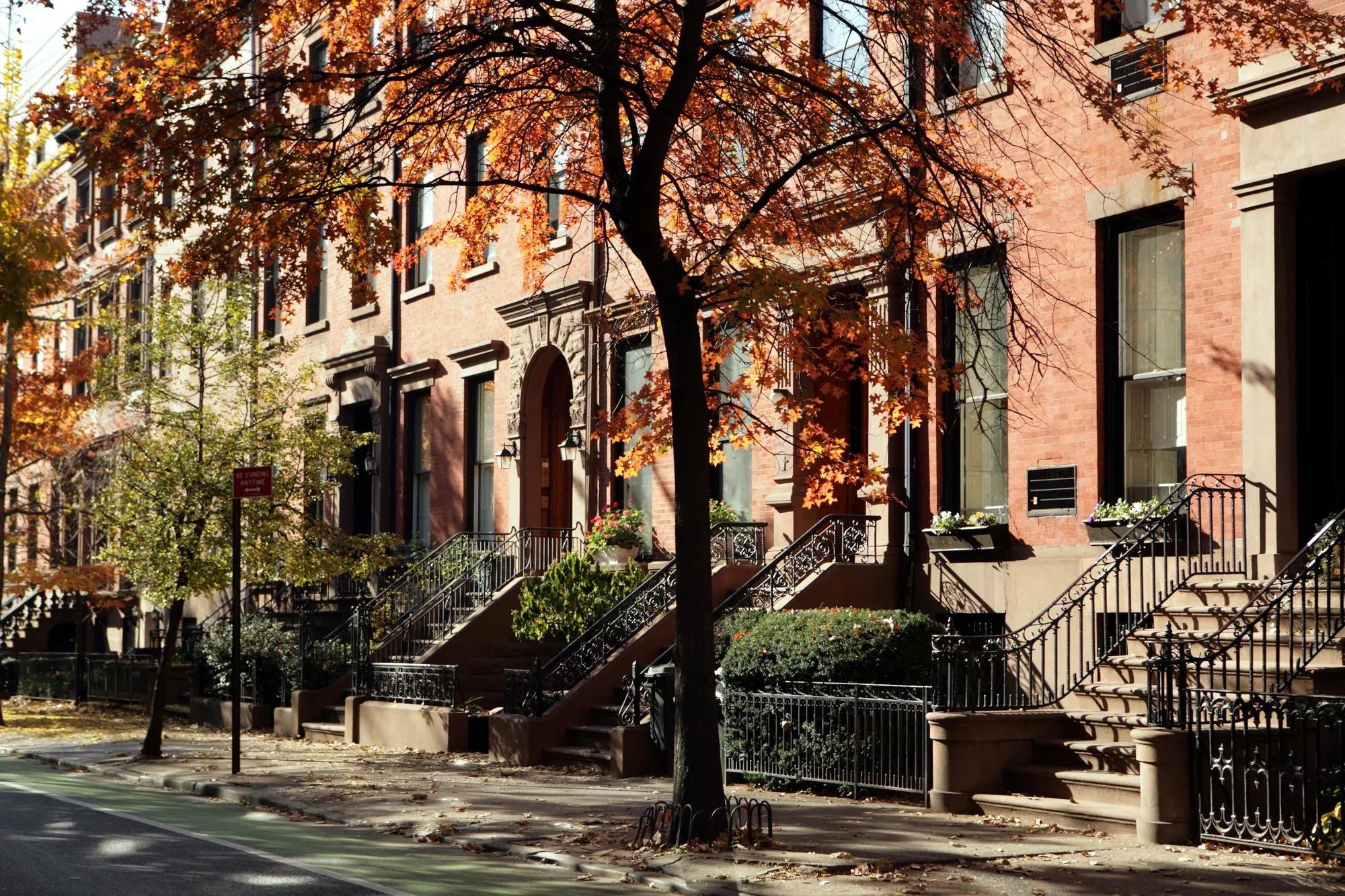 new york city brownstone row houses in autumn with trees