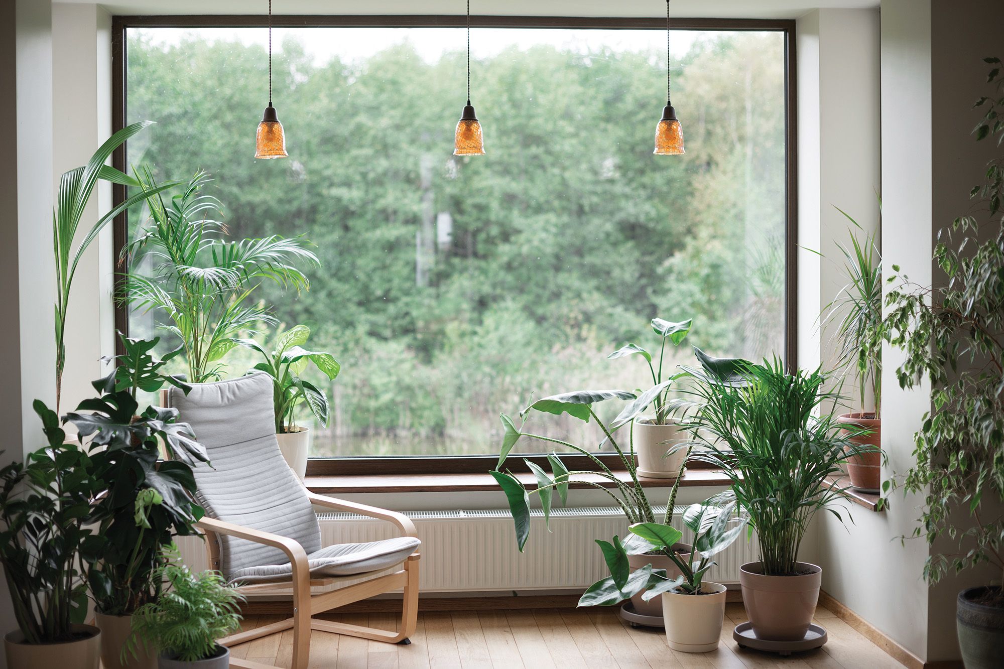 Interior room with green flowers and open view
