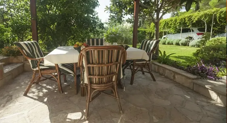 Style and Energy Savings: Strategic Shade Tree Planting chair patio seat table luxury garden wood backyard hotel house summer yard family travel bench resort home