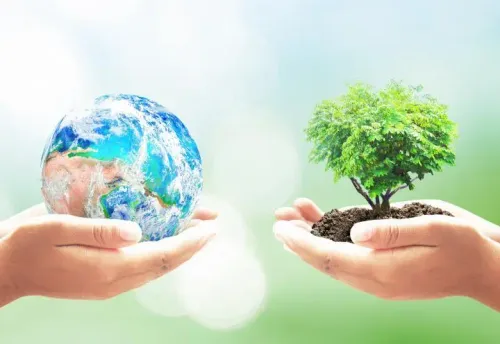 50 Years of Earth Dayball-shaped ecology environmental nature soil environment growth conservation protection spherical leaf little responsibility pollution outdoors flora hand planet sustainability summer